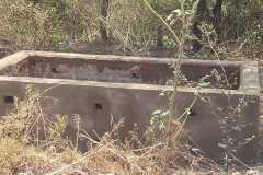 WhatsApp-Image-2026-01-24-at-7.22.14-PM