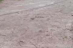 WhatsApp-Image-2026-01-24-at-7.22.15-PM1